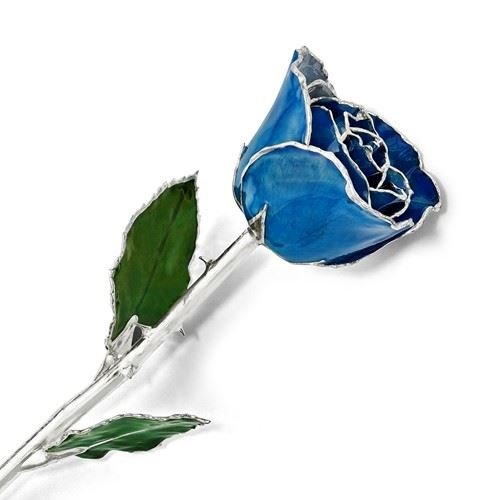 Picture of Platinum Blue Rose